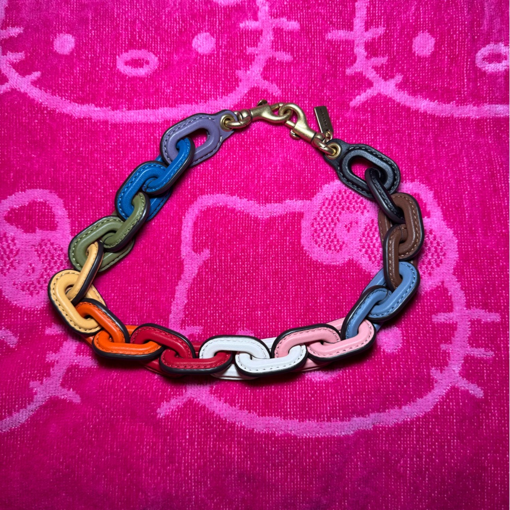 Coach Rainbow Leather Covered Short Chain Strap